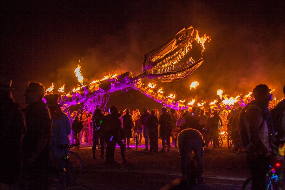 20150831_ATB0118_US_NV_BRC_Burning Man_5Dm2